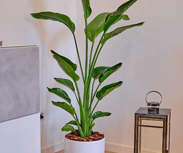 شقة Remuria Domus